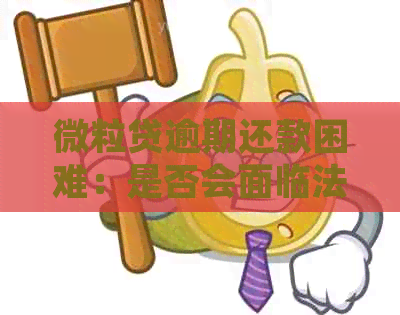 微立贷逾期还款困难：是否会面临法律诉讼？解答疑惑