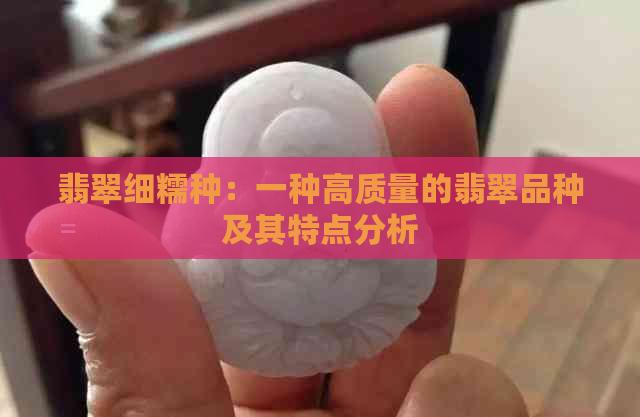 翡翠细糯种：一种高质量的翡翠品种及其特点分析