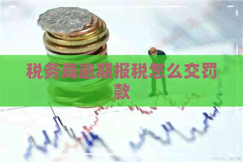 税务局逾期报税怎么交罚款