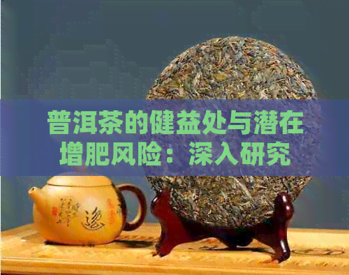 普洱茶的健益处与潜在增肥风险：深入研究