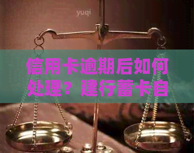 信用卡逾期后如何处理？建行蓄卡自动还款功能详解及操作指南