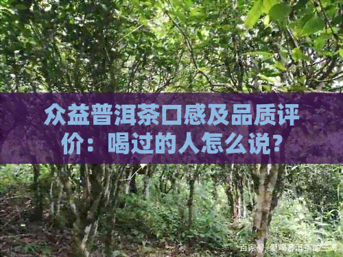 众益普洱茶口感及品质评价：喝过的人怎么说？