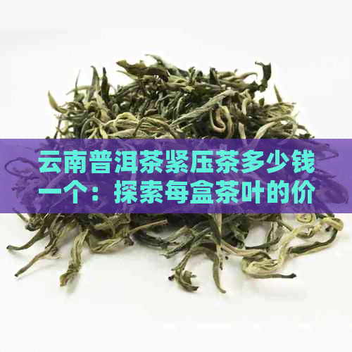 云南普洱茶紧压茶多少钱一个：探索每盒茶叶的价格与品质