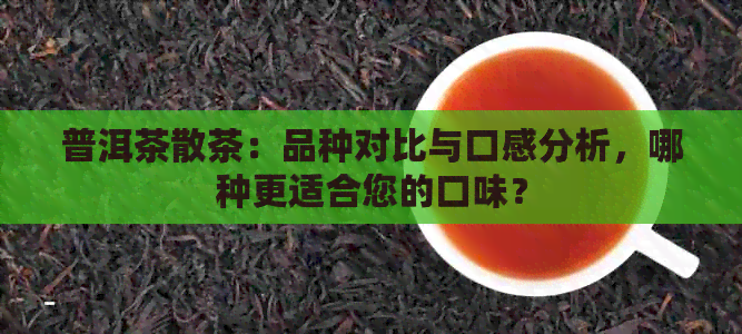 普洱茶散茶：品种对比与口感分析，哪种更适合您的口味？