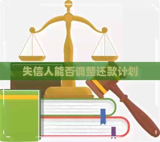 失信人能否调整还款计划