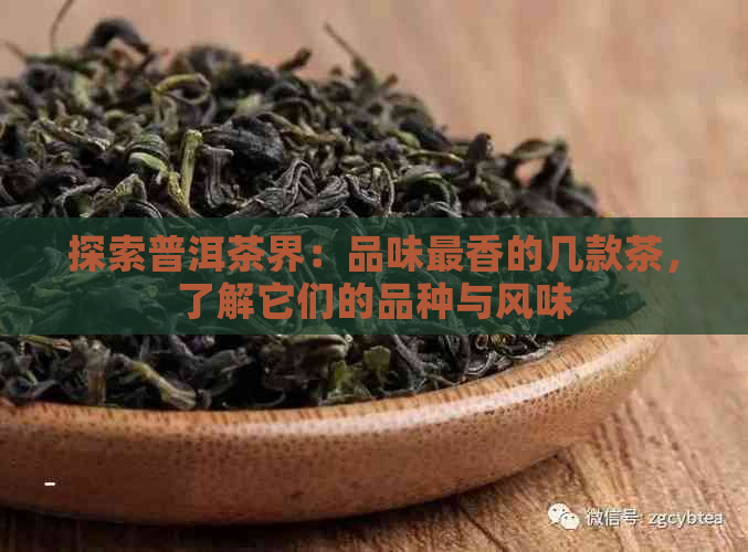 探索普洱茶界：品味最香的几款茶，了解它们的品种与风味