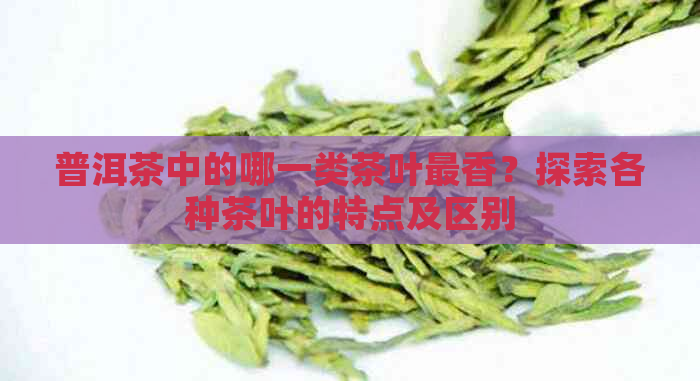 普洱茶中的哪一类茶叶最香？探索各种茶叶的特点及区别