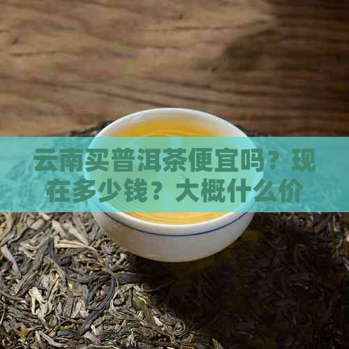 云南买普洱茶便宜吗？现在多少钱？大概什么价位？