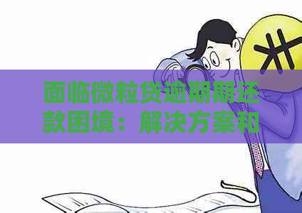 面临微立贷逾期期还款困境：解决方案和建议