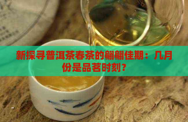 新探寻普洱茶春茶的翩翩佳期：几月份是品茗时刻？