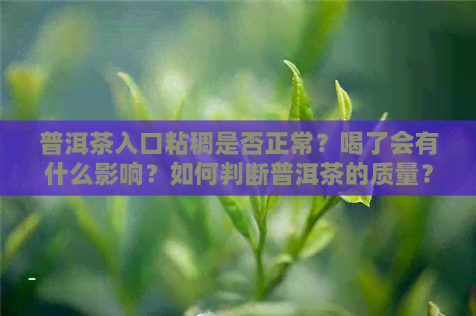 普洱茶入口粘稠是否正常？喝了会有什么影响？如何判断普洱茶的质量？