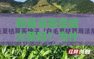 熟普洱茶是焙火茶吗？为什么不能喝？