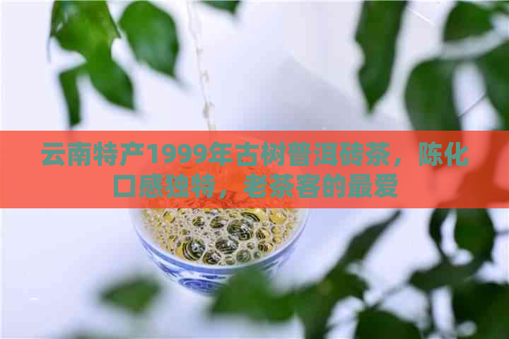 云南特产1999年古树普洱砖茶，陈化口感独特，老茶客的更爱