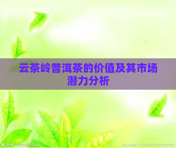 云茶岭普洱茶的价值及其市场潜力分析