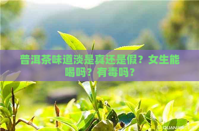 普洱茶味道淡是真还是假？女生能喝吗？有吗？