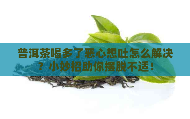 普洱茶喝多了恶心想吐怎么解决？小妙招助你摆脱不适！