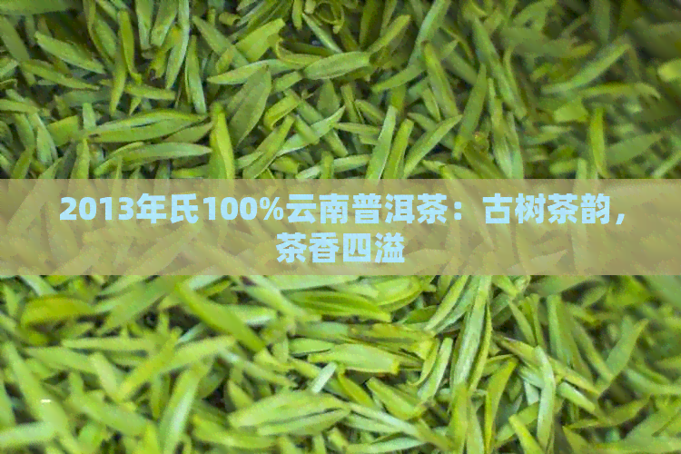 2013年氏100%云南普洱茶：古树茶韵，茶香四溢