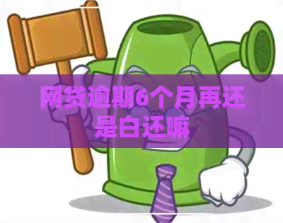 网贷逾期6个月再还是白还嘛