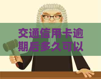 交通信用卡逾期后多久可以协商个性化分期还款？了解详细流程和注意事项