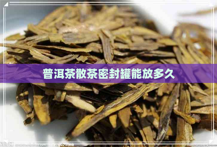 普洱茶散茶密封罐能放多久