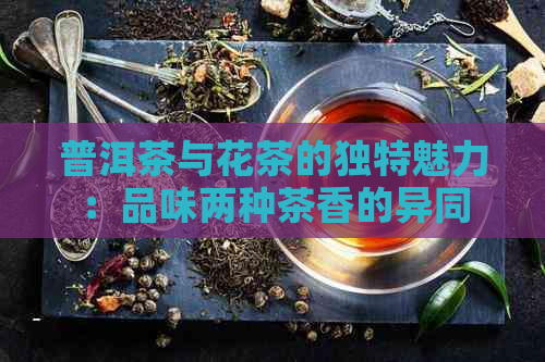 普洱茶与花茶的独特魅力：品味两种茶香的异同