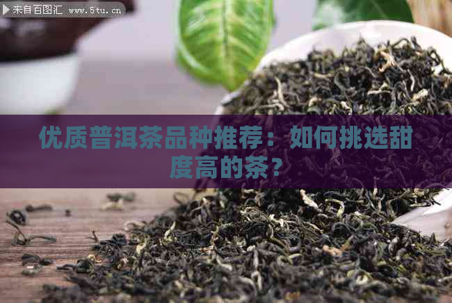 优质普洱茶品种推荐：如何挑选甜度高的茶？