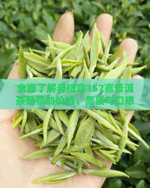 全面了解老班章357克普洱茶熟茶的价格、品质与口感，助您轻松选购优质茶叶