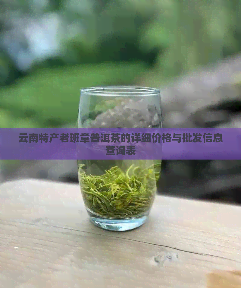 云南特产老班章普洱茶的详细价格与批发信息查询表