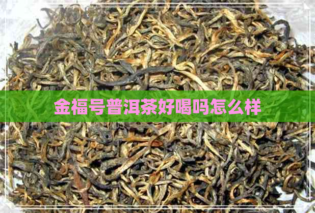 金福号普洱茶好喝吗怎么样