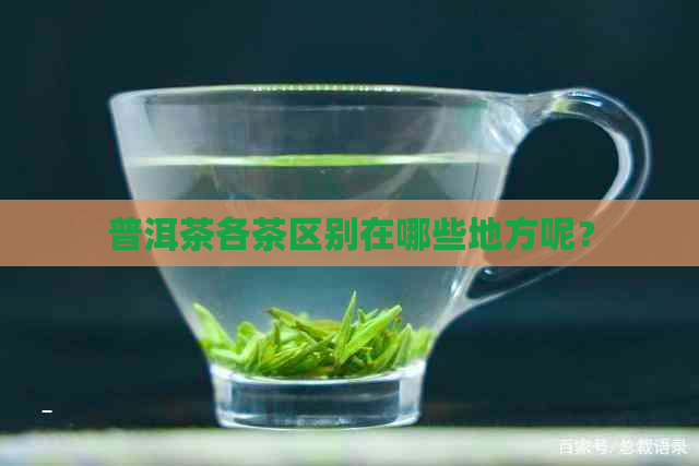 普洱茶各茶区别在哪些地方呢？