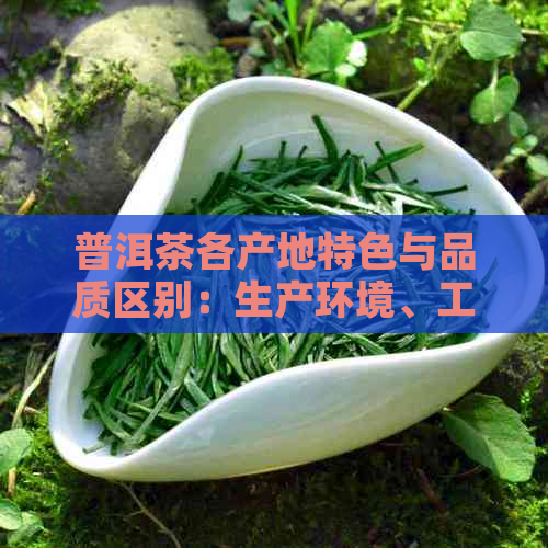 普洱茶各产地特色与品质区别：生产环境、工艺及存方式探讨