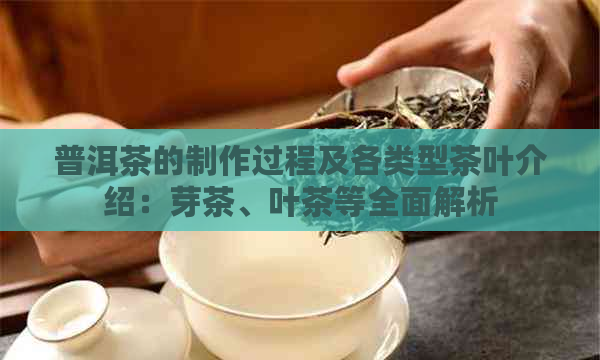 普洱茶的制作过程及各类型茶叶介绍：芽茶、叶茶等全面解析