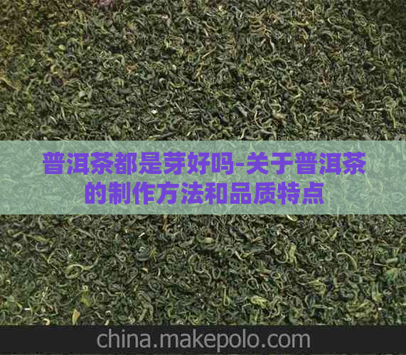 普洱茶都是芽好吗-关于普洱茶的制作方法和品质特点