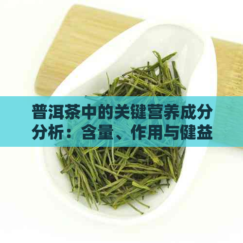 普洱茶中的关键营养成分分析：含量、作用与健益处