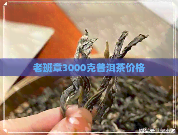 老班章3000克普洱茶价格