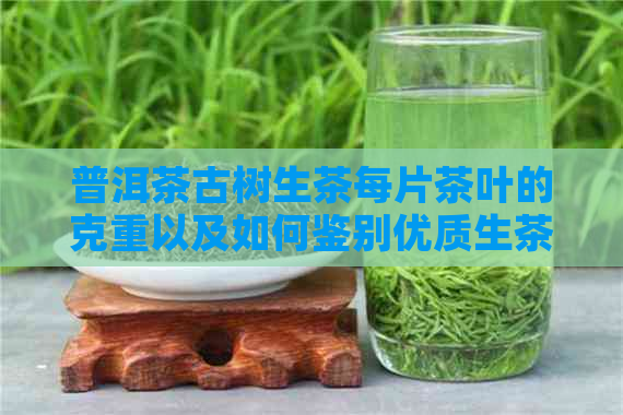 普洱茶古树生茶每片茶叶的克重以及如何鉴别优质生茶