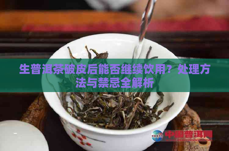 生普洱茶破皮后能否继续饮用？处理方法与禁忌全解析