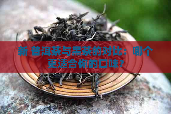 新 普洱茶与黑茶的对比：哪个更适合你的口味？