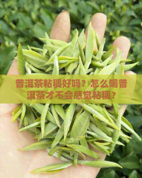 普洱茶粘稠好吗？怎么喝普洱茶才不会感觉粘稠？