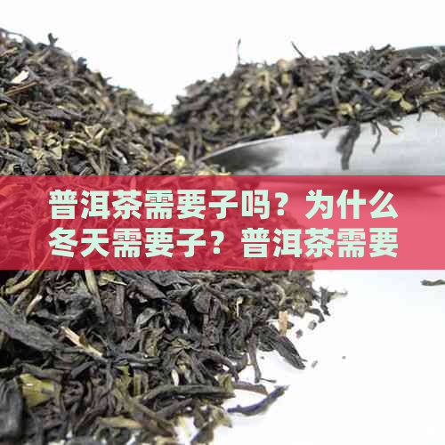 普洱茶需要子吗？为什么冬天需要子？普洱茶需要密封保存吗？