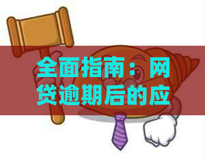 全面指南：网贷逾期后的应对策略与注意事项，让你轻松化解困境