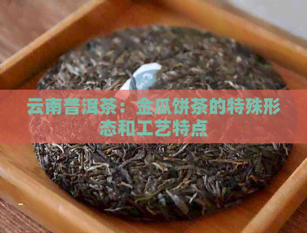 云南普洱茶：金瓜饼茶的特殊形态和工艺特点