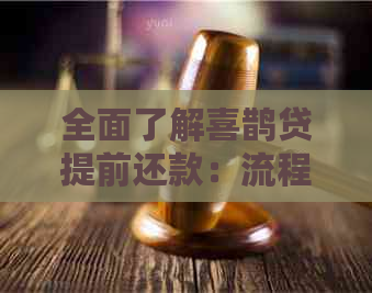 全面了解喜鹊贷提前还款：流程、注意事项与可能影响