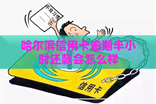 哈尔滨信用卡逾期半小时还款会怎么样