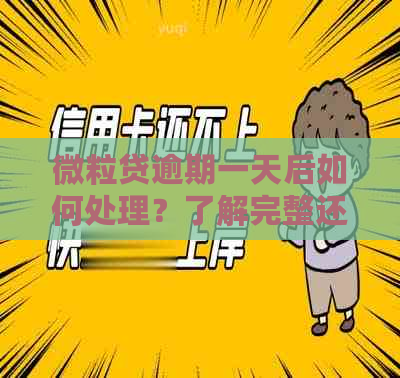 微立贷逾期一天后如何处理？了解完整还款流程及补救措