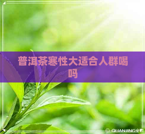 普洱茶寒性大适合人群喝吗