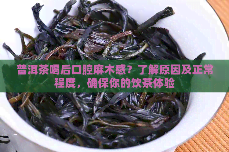 普洱茶喝后口腔麻木感？了解原因及正常程度，确保你的饮茶体验