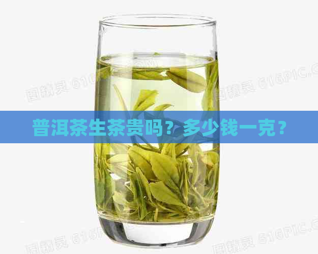 普洱茶生茶贵吗？多少钱一克？