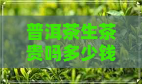 普洱茶生茶贵吗多少钱一克