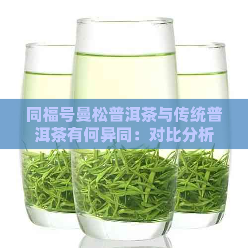 同福号曼松普洱茶与传统普洱茶有何异同：对比分析